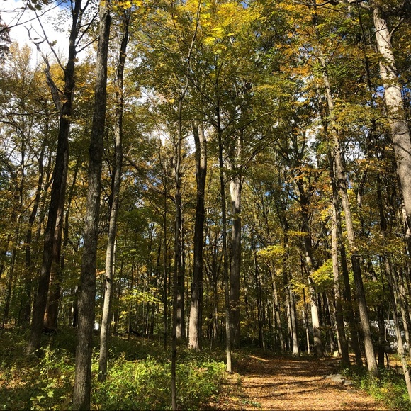 Profile Picture of Ulli Steven (@ullict) on Poshmark