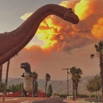 Profile Picture of Daniel Frausto (@frausto_daniel) on Twitter