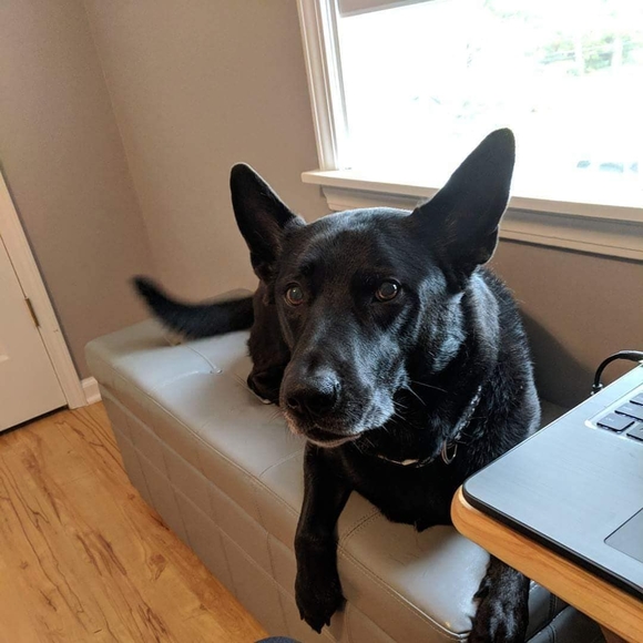 Profile Picture of Andrea Bellina (@abellina) on Poshmark