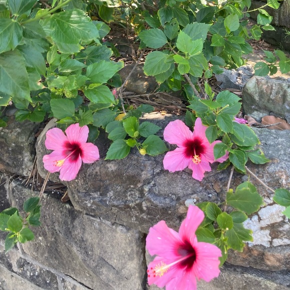 Profile Picture of Paige Easson (@paigeeasson) on Poshmark