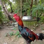 Profile Picture of Backyard Line (@Backyard-Line) on Facebook