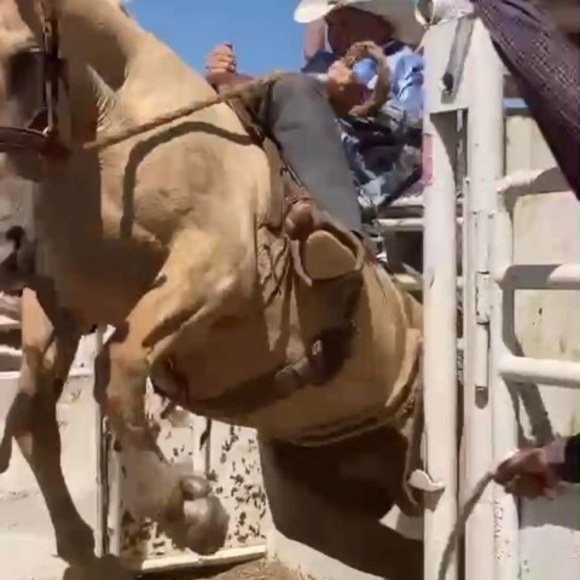 Profile Picture of Wyatt Williams (@wyattwilliam808) on Poshmark