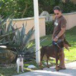 Profile Picture of David Hemingway (@dahemingway) on Instagram