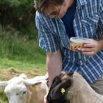 Profile Picture of Jeff Sickles (@Jeff-Sickles) on Facebook