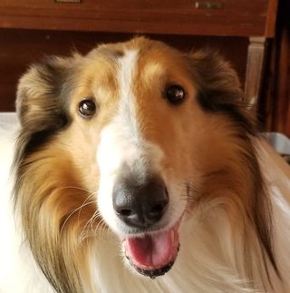 Jerry Struven - Facebook Profile Picture of Jerry Struven (@jerry.struven) on Facebook