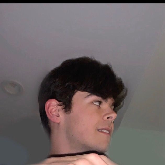 Profile Picture of Steevo (@stevenrubino) on Tiktok