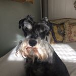 Profile Picture of Bubba Hughes (@_bubba_hughes_) on Instagram