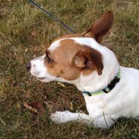 Profile Picture of Steven Krier (@krier1006) on Pinterest
