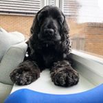 Profile Picture of Steven Morgan (@stevenmorgan27) on Instagram