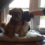 Profile Picture of Debbie Klima (@debbie.klima.7) on Facebook