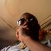 Profile Picture of Joseph Togbah (@joseph.togbah.52) on Facebook