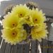 Profile Picture of Nancy Cairns (@cairns45) on Pinterest