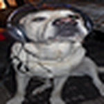 Profile Picture of Rymndhui (@rymndhui) on Flickr