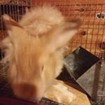 Profile Picture of Derek N Savoy Jr. (@dnsj1990) on Instagram