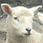 Profile Picture of Barry Johnson (@barry johnson) on Flickr