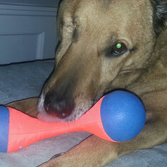 Profile Picture of Jodi Peppler (@jodipepp) on Poshmark