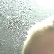 Profile Picture of Nathan Boyer (@nathanboyer2683) on Youtube