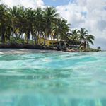 Profile Picture of Dee Reilly (@dee.reilly) on Instagram