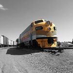 Judd Lloyd - Instagram Profile Picture of Judd Lloyd (@judd_lloyd) on Instagram