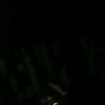 Profile Picture of Richard Dorman (@dorman_richard) on Instagram