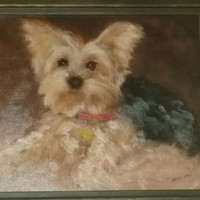 Jesse Jackman - Quora Profile Picture of Jesse Jackman (@jesse-jackman-4) on Quora