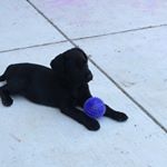 Profile Picture of Owen Keith (@owen2016_2017) on Instagram