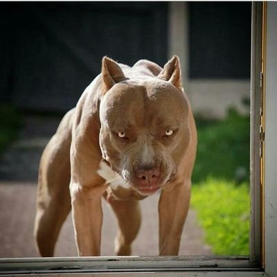 Profile Picture of Randy Ernest (@RandyErnest2) on Twitter