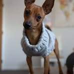 Profile Picture of Peyton Clime (@Peyton-Clime) on Facebook