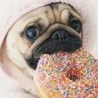 Profile Picture of Holly Sinclair (@holly-sinclair-11) on Quora