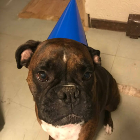 Profile Picture of Kelli Pecararo (@kelli_pecararo) on Poshmark