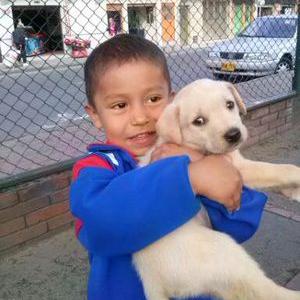 Profile Picture of William Forero (@williamforero31) on Twitter