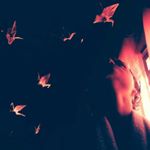 Profile Picture of Joe Aguiar (@joe.s.aguiar) on Instagram