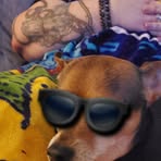 Profile Picture of Buddy Cobb (@Buddy-Cobb) on Facebook