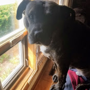 Profile Picture of Curt Mckeever (@curtpatti) on Youtube