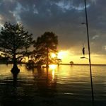 Profile Picture of Jim Phillips (@jim.phillips.14811) on Instagram