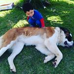 Profile Picture of mauro andré (@amaro_mauro) on Instagram