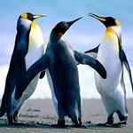 Vincentius Mickey Satya Wisesa - Instagram Profile Picture of Vincentius Mickey Satya Wisesa (@vincen567) on Instagram