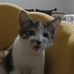Profile Picture of Josephine Johansen (@Josephine-Johansen) on Facebook