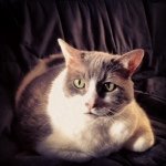 Profile Picture of Isaac Gentry Wayne (@isaacgw) on Instagram