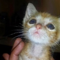 Profile Picture of Lisa Griffy (@lisa-griffy) on Quora