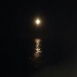 Profile Picture of Aaron Archambault (@aaronlonoarch) on Instagram