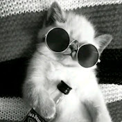 Profile Picture of David Colindres (@davidcolindres5753) on Youtube