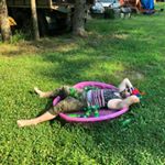 Profile Picture of Ryan Hakes (@r_hakes) on Instagram