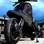 Profile Picture of David Stannard Graham (@davidstannardgraham) on Instagram