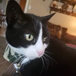 Profile Picture of Brian Angstadt (@bangst9887) on Instagram