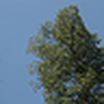 Profile Picture of megan peters (@meg owen) on Flickr