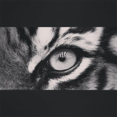 Profile Picture of Marlee Orr (@MarleeNoelOrr) on Twitter