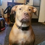 Profile Picture of Scott Kessinger (@Scott-Kessinger) on Facebook