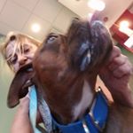 Profile Picture of Laura  Cain-moore (@lcainmoore) on Instagram