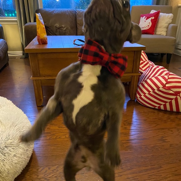 Profile Picture of Curtis Chiochanyont (@cchiochanyont) on Poshmark